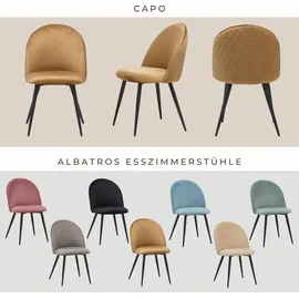 Albatros Esszimmerstuhl CAPO Samt braun 4er Set