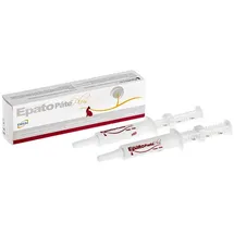 ICF Epato Plus Paste 2 x 15 ml