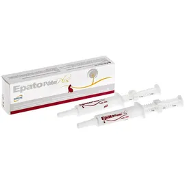ICF Epato Plus Paste 2 x 15 ml