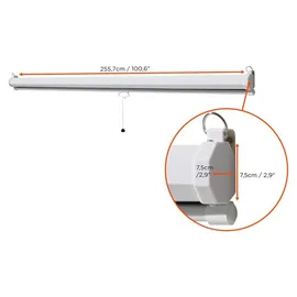Celexon basic Rollo-Leinwand 135" | 240x240 cm 1:1 | ausziehbare Full-HD 4K Beamer-Leinwand für Heimkino oder Büro-Präsentationen | Projektionsl...