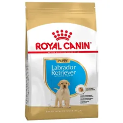 ROYAL CANIN Labrador Retriever Junior 12kg+Überraschung für den Hund