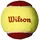 Wilson Kid's Starter Tennisbälle, 36 Stück