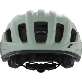 Alpina Paranus MIPS 52-56 cm willow-green matt 2021