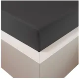 Traumschloss Spannbettlaken Premium Plus Jersey 180 x 200 - 200 x 220 cm anthrazit