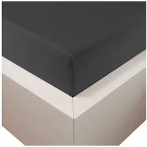 Traumschloss Spannbettlaken Premium Plus Jersey 180 x 200 - 200 x 220 cm anthrazit