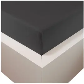 Traumschloss Spannbettlaken Premium Plus Jersey 180 x 200 - 200 x 220 cm anthrazit