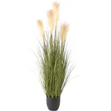 Beliani Kunstpflanze Pampas Grass 120 cm Grün
