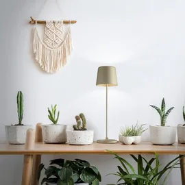 Brilliant Kaami Cappuccino