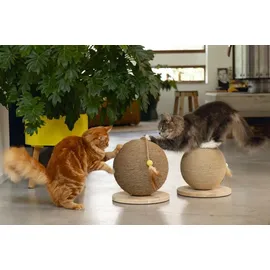 Designed by Lotte Balty Kratzbaum 30 x 30 x 31,5 cm braun