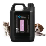 GROOM PROFESSIONAL Tender Puppy Kitty Hundeshampoo Sensitiv - Sanftes und Beruhigendes Shampoo für Juckende Haut - Lindert Hautirritationen - Sanfte Formel - Perfekt für Welpen, 4 Liter