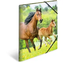 Herma Sammelmappe Tiere A3 pferde