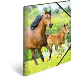 Herma Sammelmappe Tiere A3 pferde