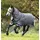 Horseware Amigo Bravo 12 Reflectech Plus 100g - Grey/Reflective 140