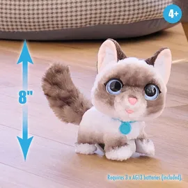Hasbro FurReal Friends Kitty 20 cm Grau/Weiß/Mehrfarbig
