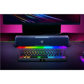 Razer Leviathan V2 X - PC-Gaming-Soundbar (mit Full-Range-Treibern, Kompaktes Format, Stromversorgung und Audio per USB Typ C, Bluetooth 5.0, Chroma RGB) Schwarz