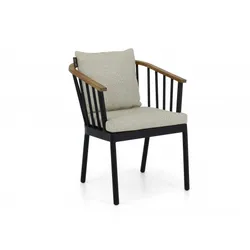 Apple Bee Condor Dining Armchair Alu black