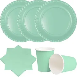Party Deko Set Mint Einweggeschirr für 20 Personen Teller, Becher, Servietten Hochzeit Geburtstag