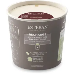 Teck & Tonka Nachfüller für Duftkerze 450g