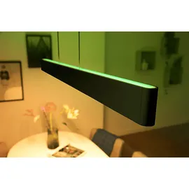 Philips Hue White & Color Ambiance Ensis schwarz