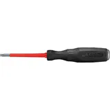 intercable tools Torx-Schraubendreher T10x60 1 St.