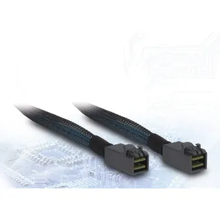 Inter-Tech Kabel SFF 8643 -> SFF 1.00m