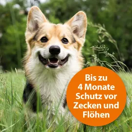 ARDAP Zecken- und Floh Halsband für große Hunde über 25 kg