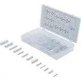 BGS Passfedern-Sortiment 60-tlg.