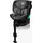 lionelo Harmony i-Size Dunkelgrau