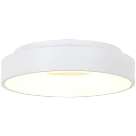Steinhauer Ringlede 1 LED rund weiß matt