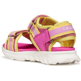 GEOX AIRADYUM GI Fuchsia/Yellow 37