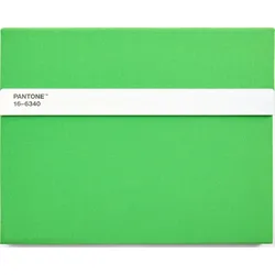 Pantone Skizzenbuch mit Bleistift L 160 Seiten grün liniert 100 g/m2