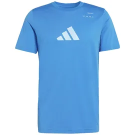 adidas Tennis Category Graphic blau L