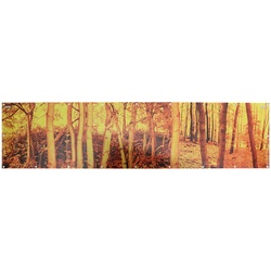 KOX  Warn-/Tarnnetz  Wald 4 x 1 m mit Edelstahlösen