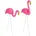 2er Set Pink