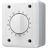 Jung Schaltuhr 8015 W