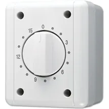 Jung Schaltuhr 8015 W