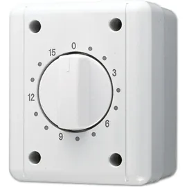 Jung Schaltuhr 8015 W