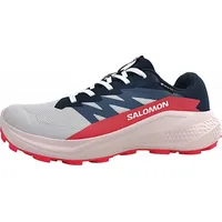 Salomon Alphaglide Goretex Trailrunning-schuhe - Lunar Rock / Blue