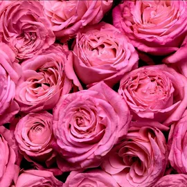 Escada Magnetism Eau de Parfum 75 ml