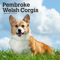Browntrout Verlags GmbH Pembroke Welsh Corgis - Pembroke Welsh