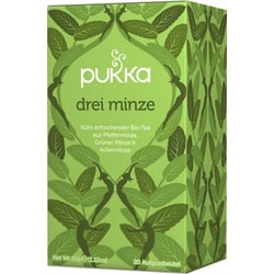 Pukka Drei Minze bio (20Btl)