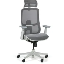 Bürostuhl SIA, grau