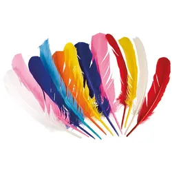 Satz 12 Feder 7 Farben (30 cm) - OS