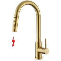 Tohlar Niederdruck Armatur Küche Gold, Niederdruck Wasserhahn Küche mit Ausziehbare Brause, Mischbatterien für Küche Moderner Edelstahl Spültischarmatur