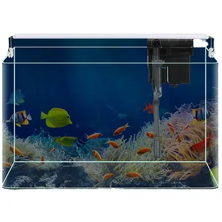 Hochauflösendes, wärmegebogenes Glas-Aquarium, tragbares Desktop-Aquarium, geeignet for die Dekoration zu Hause/im Büro (klein)(50x27x30cm)