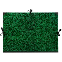 Clairefontaine 5x Zeichenmappe Annonay, Bandverschluss, 61x76cm - Grün 33000C
