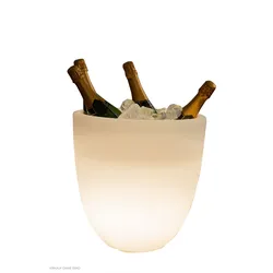 Shining Curvy Cooler