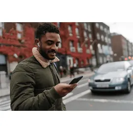 JBL Live Flex silver