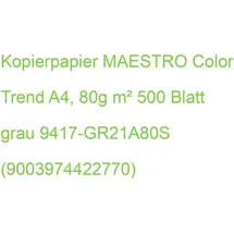 MAESTRO color Kopierpapier color, A4 80 g/qm, grau