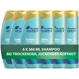 Head & Shoulders Anti-Schuppen Shampoo Männer und Damen (6x 360 ml), mit Kaktus-Extrakt, aktiver Aloe & Vitamin E, gegen juckende und trockene Kopfhaut